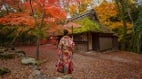 月到猿泽池古都奈良又入中秋(图)