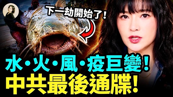 水火风疫巨变中共最后通牒(视频)