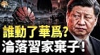 任正非真出事了習近平為何親手斬斷華為(視頻)