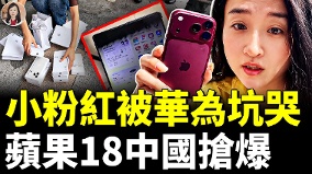 华为新手机崩盘小粉红支持国产却踩坑(视频)