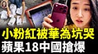 华为新手机崩盘小粉红支持国产却踩坑(视频)