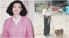 寻找美华：二十六年的破碎被迫沉默的归来(图)