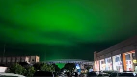 福建泉州惊现“绿色天空”网友惊呼如地府(图)